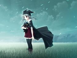 Post 233083