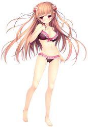 Post 2428060
