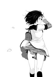 Post 2431743