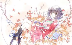 Post 2440991