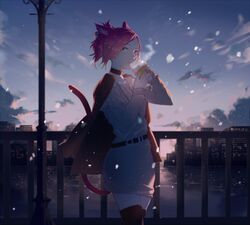 Post 2470053