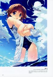 Post 2499406