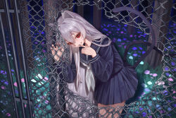 Post 6001653