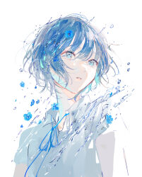 Post 6000177