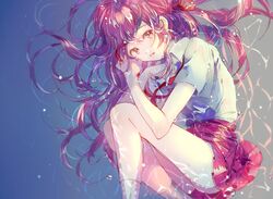 Post 2504469