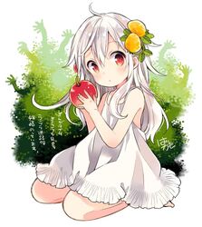 Post 2505993