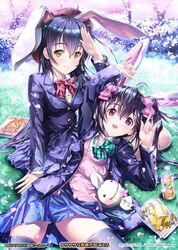 Post 2505847