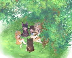 Post 2511703