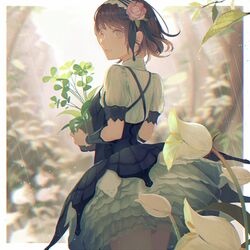 Post 2521119