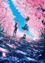Post 2523980
