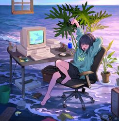 Post 2534423