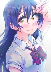 Post 2535095