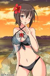 Post 2557218