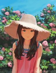 Post 2557431