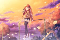 Post 246614