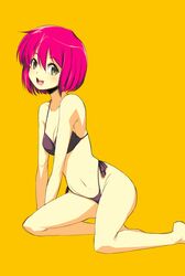 Post 2588871