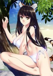 Post 2602762