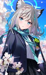 Post 4935404