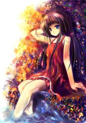 Post 250233