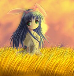Post 250202