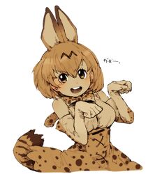 Post 2607216