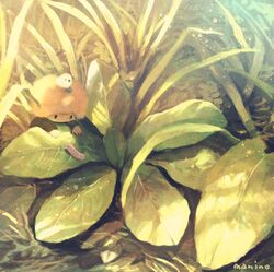 Post 2736441