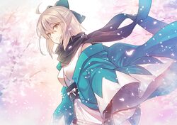 Post 2640445