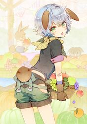 Post 2640650