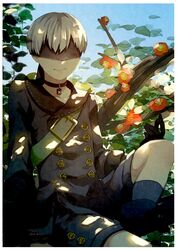 Post 4218237