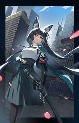 Post 5170446