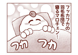 Post 5270867