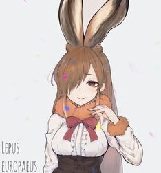 Post 2706831