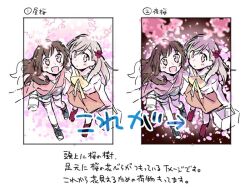 Post 6043693