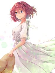 Post 2707841