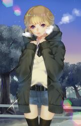 Post 2731728