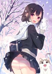 Post 2737111