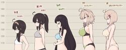 Post 2749086