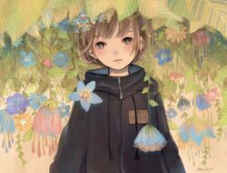 Post 2750721