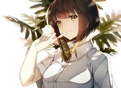 Post 2770124
