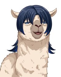 Post 5597863