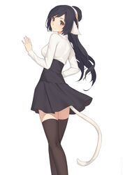 Post 2780453