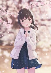 Post 2780499