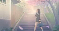 Post 2784318