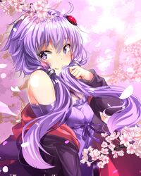 Post 2788626
