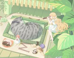 Post 2790109