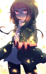 Post 5738466