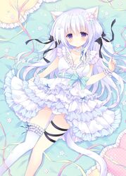 Post 2808064