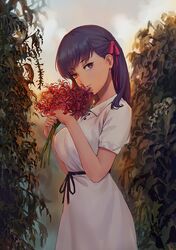 Post 2810788