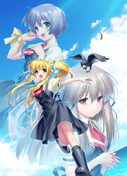Post 6070887