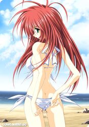 Post 269451